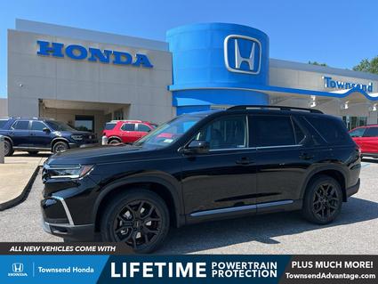 2025 Honda Pilot Tuscaloosa AL