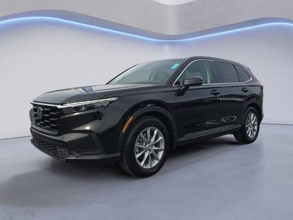 2026 Honda CR-V Knoxville TN