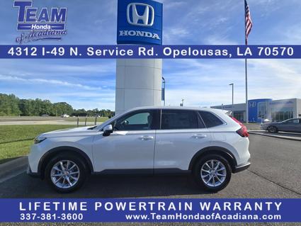 2026 Honda CR-V Opelousas LA