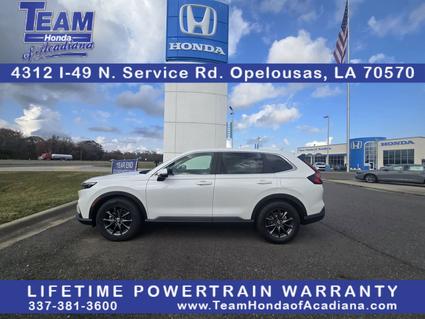 2026 Honda CR-V Opelousas LA