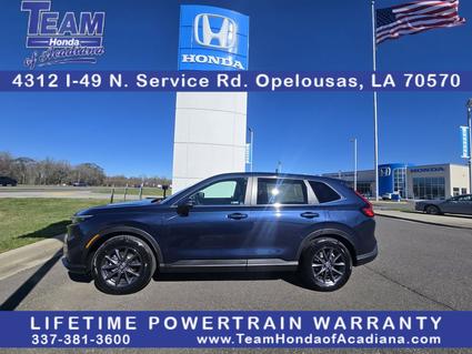 2026 Honda CR-V Opelousas LA