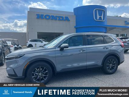 2026 Honda CR-V Tuscaloosa AL