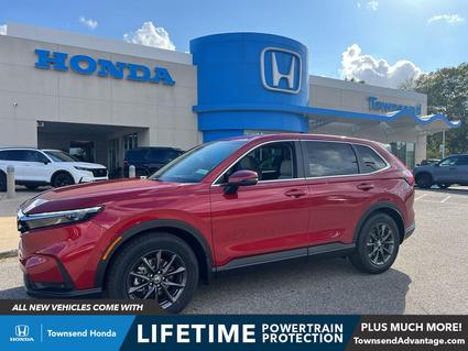 2026 Honda CR-V Tuscaloosa AL