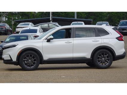 2026 Honda CR-V Tupelo MS