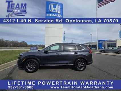 2026 Honda CR-V Opelousas LA