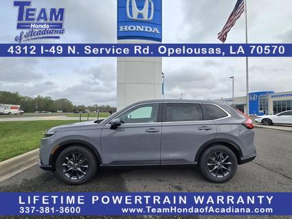2026 Honda CR-V Opelousas LA