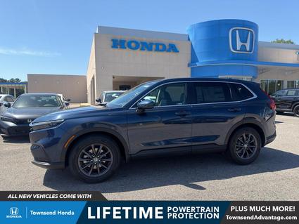 2026 Honda CR-V Tuscaloosa AL
