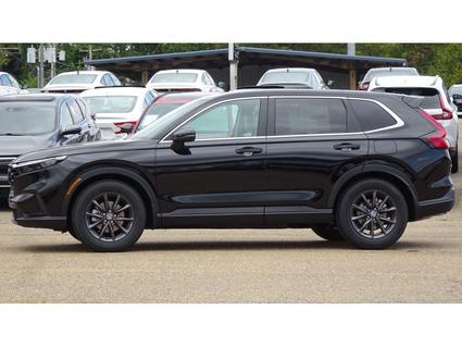 2026 Honda CR-V Tupelo MS