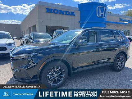 2026 Honda CR-V Tuscaloosa AL
