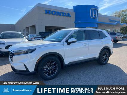 2026 Honda CR-V Tuscaloosa AL