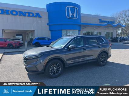 2026 Honda CR-V Tuscaloosa AL