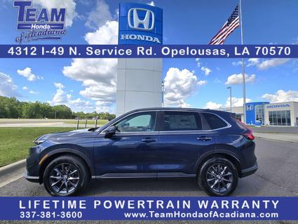 2026 Honda CR-V Opelousas LA