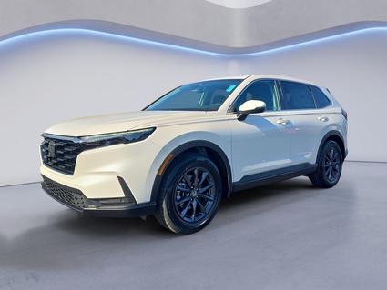 2026 Honda CR-V Knoxville TN