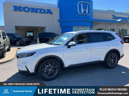 2026 Honda CR-V Tuscaloosa AL