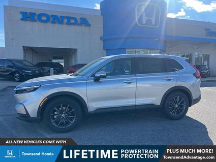 2026 Honda CR-V Tuscaloosa AL