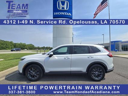 2026 Honda CR-V Opelousas LA