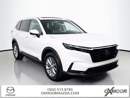 2024 Honda CR-V Louisville KY