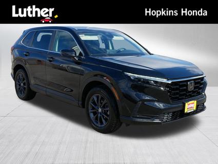 2026 Honda CR-V Hopkins MN
