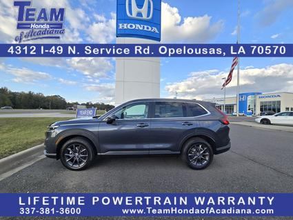 2026 Honda CR-V Opelousas LA