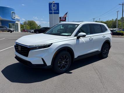 2026 Honda CR-V Johnson City TN
