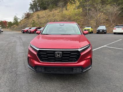 2024 Honda CR-V Covington VA