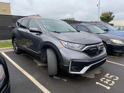 2020 Honda CR-V Fletcher NC