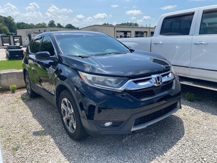 2019 Honda CR-V Sparta TN