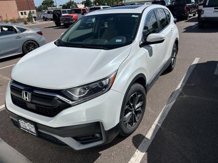 2021 Honda CR-V Canon City CO