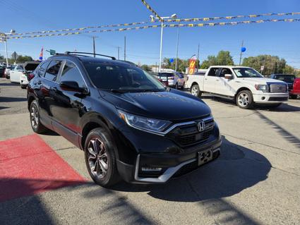 2021 Honda CR-V Billings MT