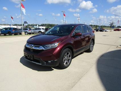 2019 Honda CR-V Effingham IL
