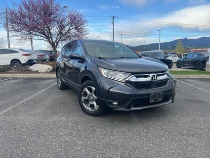 2019 Honda CR-V Liberty Lake WA