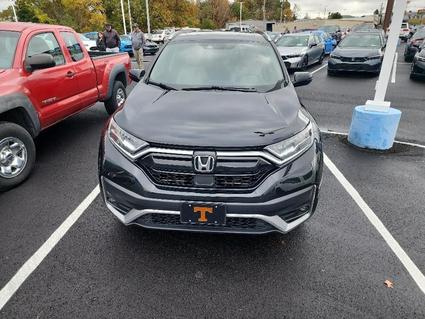 2020 Honda CR-V Johnson City TN