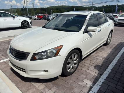 2010 Honda Accord Knoxville TN