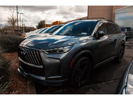 2026 INFINITI QX60 Albuquerque NM