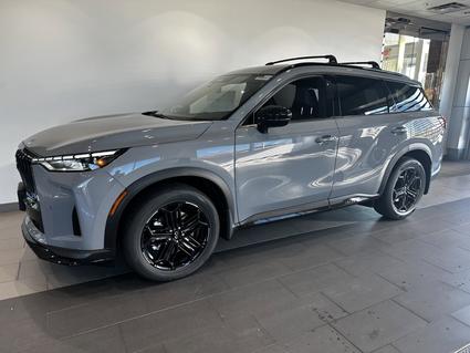 2026 Infiniti QX60 Minneapolis MN