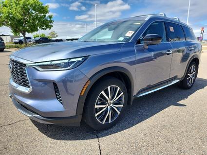 2025 INFINITI QX60 Dacono CO