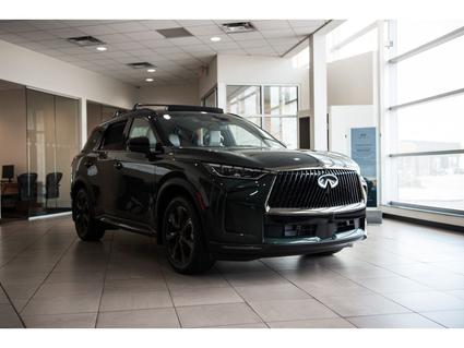 2026 INFINITI QX60 Albuquerque NM
