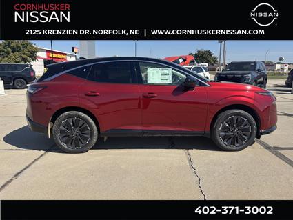 2025 Nissan Murano Norfolk NE