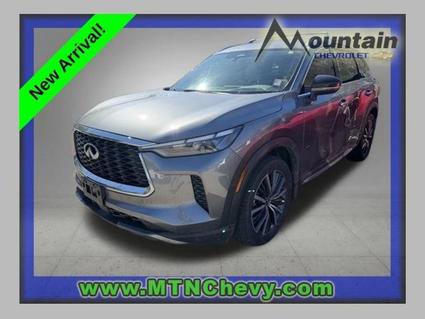 2023 INFINITI QX60 Glenwood Springs CO