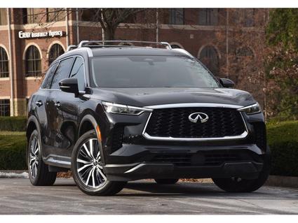 2024 INFINITI QX60 Lexington KY