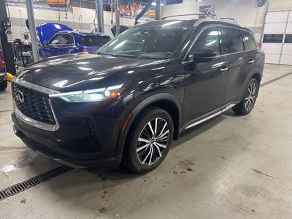 2024 INFINITI QX60 Lexington KY