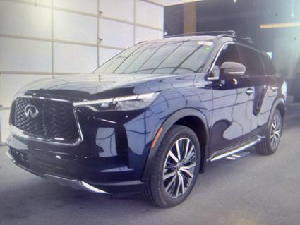 2022 INFINITI QX60 Chattanooga TN