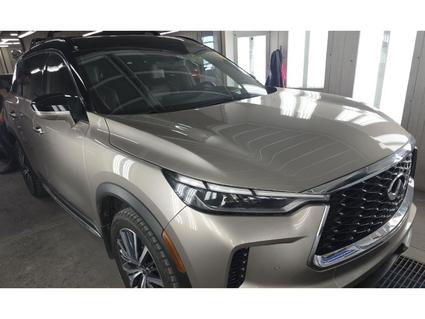 2023 INFINITI QX60 Memphis TN