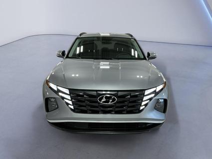 2023 Hyundai Tucson Evansville IN