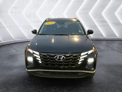 2024 Hyundai Tucson Evansville IN