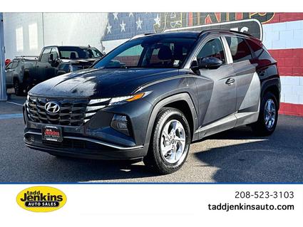 2024 Hyundai Tucson Blackfoot ID