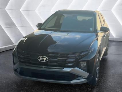 2025 Hyundai Tucson Evansville IN