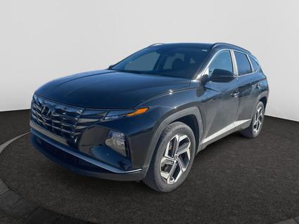 2022 Hyundai Tucson Saltillo MS