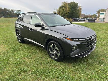 2022 Hyundai Tucson Madison AL