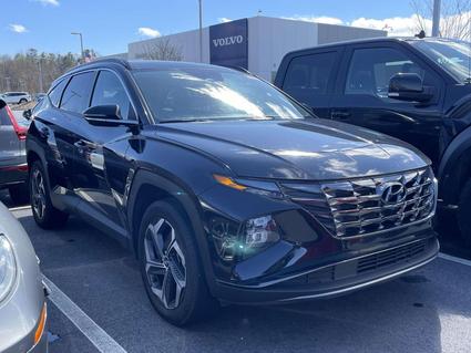 2023 Hyundai Tucson Fletcher NC